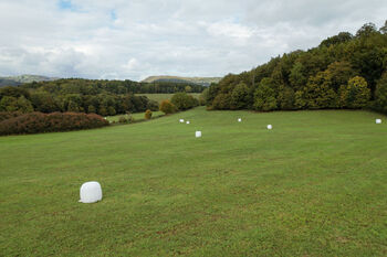 Prodej pozemku 28000 m², Františkov nad Ploučnicí
