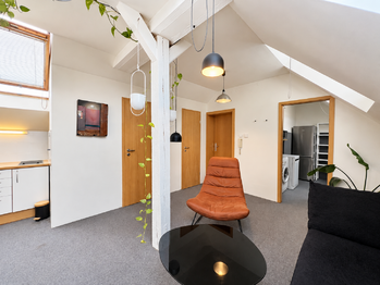Pronájem bytu 2+kk v osobním vlastnictví 65 m², Praha 10 - Vinohrady