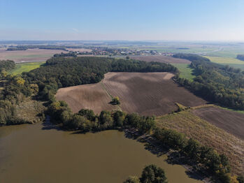 Prodej pozemku 99492 m², Rokytno