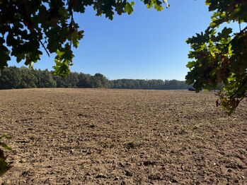 Prodej pozemku 99492 m², Rokytno