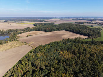 Prodej pozemku 99492 m², Rokytno
