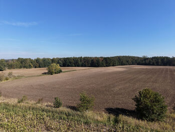 Prodej pozemku 99492 m², Rokytno