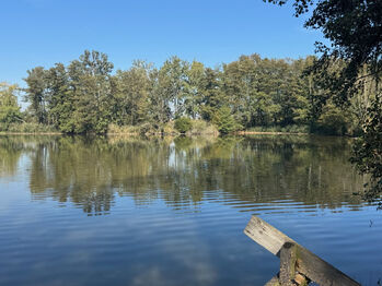 Prodej pozemku 99492 m², Rokytno