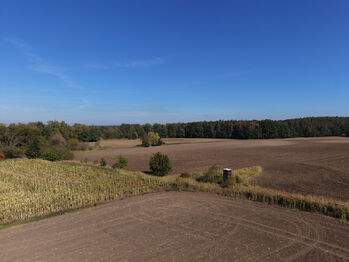 Prodej pozemku 99492 m², Rokytno
