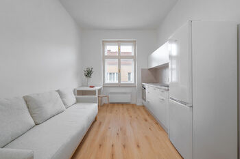 Prodej bytu 1+kk v družstevním vlastnictví 20 m², Praha 3 - Žižkov