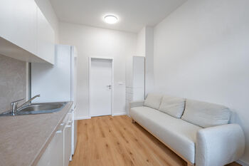 Prodej bytu 1+kk v družstevním vlastnictví 20 m², Praha 3 - Žižkov