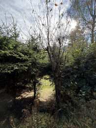 Prodej chaty / chalupy 28 m², Ostrovec-Lhotka