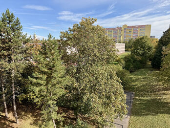 Prodej bytu 2+1 v osobním vlastnictví 42 m², Praha 8 - Bohnice