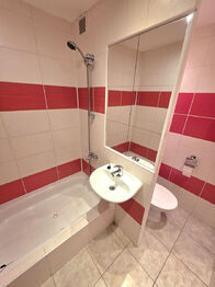 Prodej bytu 2+1 v družstevním vlastnictví 53 m², Horní Benešov