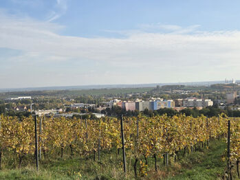 Prodej domu 190 m², Kutná Hora