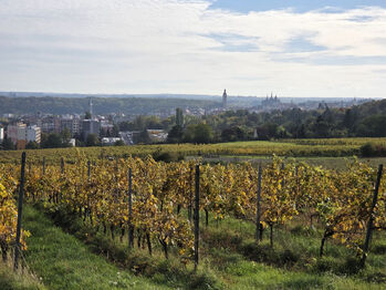Prodej domu 190 m², Kutná Hora