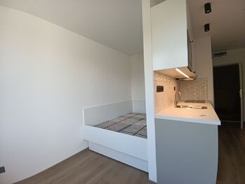 Pronájem bytu 1+kk v družstevním vlastnictví 20 m², Ústí nad Labem