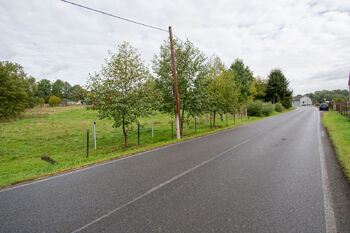 Prodej pozemku 4960 m², Markvartice
