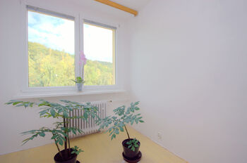 Prodej bytu 4+kk v družstevním vlastnictví 72 m², Litvínov