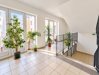 Pronájem bytu 2+kk v osobním vlastnictví 53 m², Brno