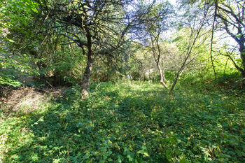 Prodej pozemku 900 m², Chýnov