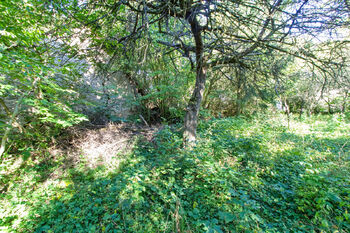Prodej pozemku 900 m², Chýnov