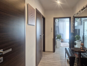 Prodej bytu 3+1 v osobním vlastnictví 64 m², Brno