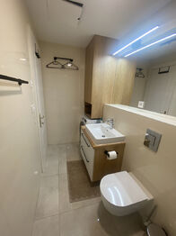 Pronájem bytu 1+kk v osobním vlastnictví 37 m², Praha 7 - Bubeneč