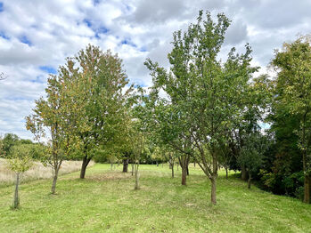 Prodej domu 120 m², Moravany