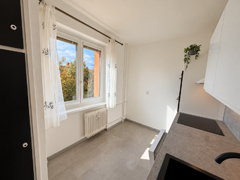 Prodej bytu 3+1 v družstevním vlastnictví 61 m², Teplice