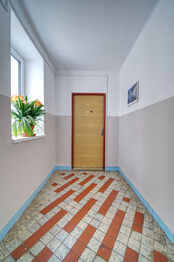 vstupní dveře - Prodej bytu 3+1 v družstevním vlastnictví 82 m², Plzeň