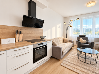 Pronájem bytu 2+kk v osobním vlastnictví 49 m², Praha 7 - Holešovice