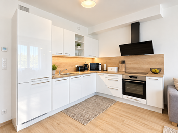 Pronájem bytu 2+kk v osobním vlastnictví 49 m², Praha 7 - Holešovice