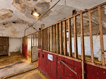 Pronájem zemědělského objektu 770 m², Bitozeves