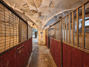 Pronájem zemědělského objektu 770 m², Bitozeves