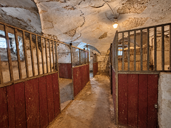Pronájem zemědělského objektu 770 m², Bitozeves