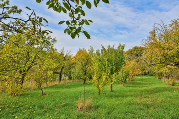 Prodej domu 152 m², Očelice