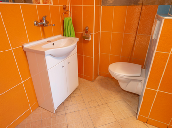 Prodej bytu 2+1 v družstevním vlastnictví 63 m², Děčín