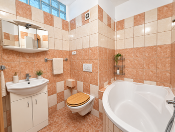 Prodej bytu 1+1 v osobním vlastnictví 35 m², Teplice nad Bečvou