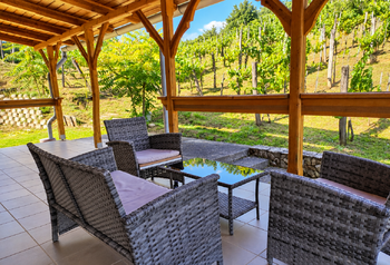 terasa s vyhledem do vinice - Prodej chaty / chalupy 145 m², Pincehely 