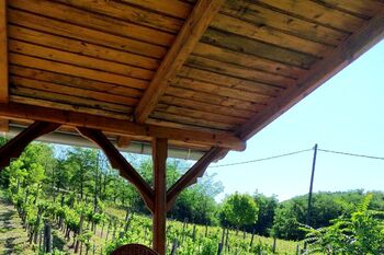 mensi - vyhled z balkonu na vinici - Prodej chaty / chalupy 145 m², Pincehely