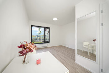 Pronájem bytu 1+kk v osobním vlastnictví 30 m², Brno
