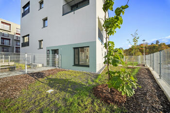 Pronájem bytu 1+kk v osobním vlastnictví 30 m², Brno