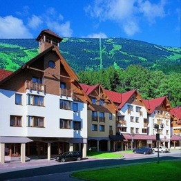 Prodej bytu 1+kk v osobním vlastnictví 40 m², Rokytnice nad Jizerou