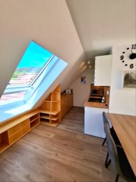Prodej bytu 1+kk v osobním vlastnictví 40 m², Rokytnice nad Jizerou