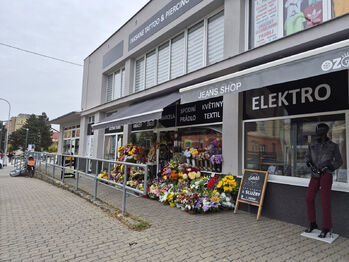 Prodej obchodních prostor, Kopřivnice