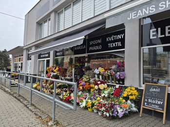 Prodej obchodních prostor, Kopřivnice