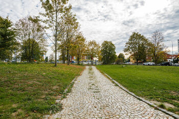 Pronájem kancelářských prostor 126 m², Tábor