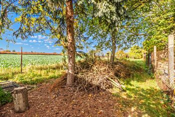 Prodej chaty / chalupy 50 m², Slaný