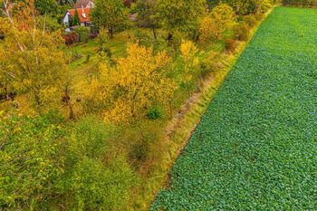 Prodej chaty / chalupy 50 m², Slaný