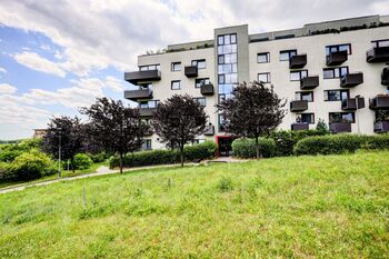 Pronájem bytu 2+kk v osobním vlastnictví 70 m², Brno