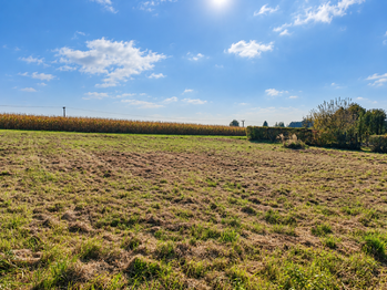 Prodej pozemku 944 m², Dolní Lutyně