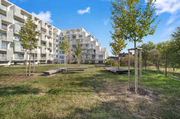 Prodej bytu 1+kk v osobním vlastnictví 38 m², Brno