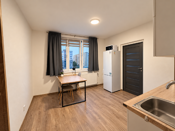 Pronájem bytu 1+1 v osobním vlastnictví 37 m², Žatec