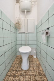 Pronájem bytu 3+1 v družstevním vlastnictví 65 m², Náchod